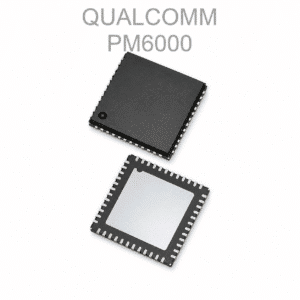 PM6000